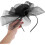 Fascinator Hårspenne Pannebånd Netting Plume Sløyfe Hodeplagg 4