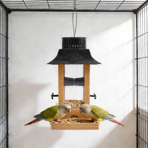 Visible Panel Bird Dispenser produced For night Feeding And 1