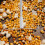 Popcorn Machine Mixer Stirring Rods Replacement Whisk Accessory for Popcorn Machine Mixer Attachment 5