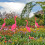 Flamingo Havepæl Lyserød HDPE 85x35cm 2