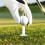 6Pcs Unbreakable Silicone Golf Tees Set with 35Mm-75Mm Flat Top Holders 5
