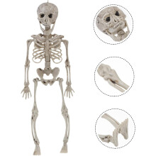 1 Stück kreative menschliche Skelett-Requisite für Halloween-Dekoration, realistische Szene, Ornament