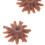 100pcs Sand Table Decorative Tree Tree Support for Model Trains Easy Assembly Base 3