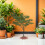 100pcs Sand Table Decorative Tree Tree Support for Model Trains Easy Assembly Base 5