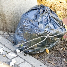 Müllgreifer aus Edelstahl, 45 cm, Metall-Müllzange, Mehrzweck-Abfallauffangwerkzeug
