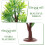 10pcs Miniature Model Trees for DIY and Office Decoration Plastic Sand Table Tree Ornaments 3