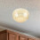 Detector Guard Fire Alarm Protector Plastic Detector Cover 5