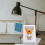 Shadow Box Frame Versatile Design Rustic White Wooden with Glass Window 6