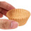 1000pcs Cake Baking Cups Cupcake Baking Wrappers Paper Lightweight Delicate Appearance 4
