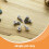 100 mini attaches parisiennes 4,5 x 8 mm 1