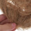 2 stk statiske gresstufter for modelllandskap, miniatyrvegetasjon DIY-materialer 3
