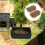 2pcs Static Grass Tufts for Model Scenery, Miniature Vegetation DIY Materials 5
