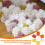 12pcs Latch Hook Yarn DIY Carpet Embroidery Supply for Rug Making 4