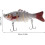 10 Stück mehrgelenkige, 10 cm lange, bionische Schwimmköder, harte Oberflächenköder für Barsch und Forelle 2