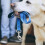 2Pcs Stainless Steel Swivel Snap Hooks Spring Trigger Clips for Dog Leash Webbing Belt 1