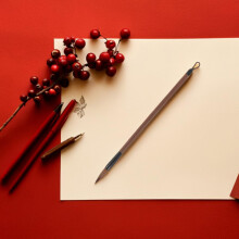12pcs Chinese Calligraphy Brush Set for Students, Small Professional Writing and Painting Brushes