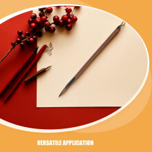 12-delige set Chinese kalligrafiepenselen voor studenten, kleine professionele schrijf- en schilderpenselen