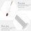 2 Sets Wine Hydrometer Triple Scale Alcohol Hydrometer Glass Plastic Accurate Reading Measure Alcohol 3