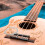 2 Sets Nylon Guitar Strings Classical Acoustic Electric Guitar Replacement Maintenance Silverplated Reliable 4