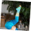 Nylon Compression Socks Running Compression Socks Open Toes Compression Foot Socks Supports Socks 5