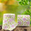 2pcs Mini Eyelash Travel Case Retractable Handle Eyelash Holder Case for False Lashes Storage 5