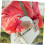 2pcs Nylon Bag Shoulder Strap Detachable Adjustable Crossbody Strap 5