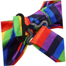 2er-Set Unisex-Fliegen mit Regenbogenstreifen für Party- und Festdekoration, farbenfrohes, vorgebundenes Fliegen-Set
