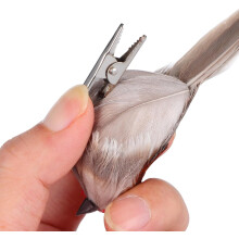 4 künstliche Vögel mit Federn, Vogeldekorations-Requisiten, lebensechte Schaumstoff- und Federornamente