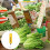 2pcs Portable Precision Hanging Scale with Hook 25kg Handheld Vertical Spring Fish Scale 7