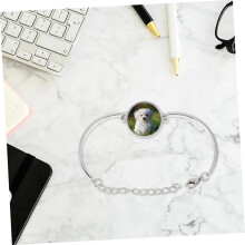 25-teiliges DIY-Armbandfassungstablett mit 20 mm runden Cabochons aus Legierung und Glasabdeckungen