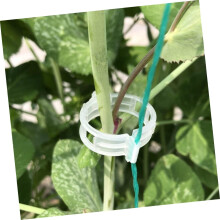 300 clips de jardinage pour tuteurs de plantes grimpantes, supports pour plantes grimpantes murales