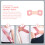 3pcs Posture Corrector Belt for Men and Women Strap Adjustable Design 2