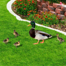 Decorazione da giardino in acrilico per esterni, 1 pezzo