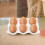 3pcs Ceramic Egg Storage Tray with 6 Holes Each Nonslip Bottom Egg Holder Container 4
