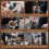 51mm Espresso Kit: Calibrated Tamper, Dosing Funnel & Tools 4