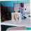 6pcs Transparent Plastic Watch Display Boxes Set Children’s Watch Storage Packaging Case Organizer 7
