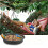 Weather Resistant Hanging Bird Feeding Bowl Appropriate For 4