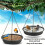 Wind Resistant Outdoor Bird Bath And Feeding Dish Crafted From 6