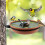 Quick Assembly Plastic Feeding Station Perfect For Backyard-1 3