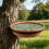 Quick Assembly Plastic Feeding Station Perfect For Backyard-1 6