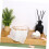 400pcs Compressed Face Towels Disposable 7
