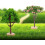 4pcs Miniature Fake Trees Artificial Sand Table Tree Model for Model Train Scenery DIY Craft Accessories 8