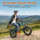 ENGWE ENGWE EP2 3.0 BOOST Foldable Urban commuting EBike 4