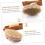 2pcs Boar Bristle Bath Brush Massage Function Practical for Bathroom Cleaning Body Brush and Shampoo Tool 3