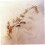 Kopfschmuck, Hochzeitshaarschmuck, Haaraccessoires, Flechthaar, Perlenhaarband 3