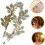 Kopfschmuck, Hochzeitshaarschmuck, Haaraccessoires, Flechthaar, Perlenhaarband 7