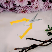 Fruitschaar van roestvrij staal met ergonomische handgreep voor tuinieren en het snoeien van bloemen