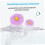 24pcs Silicone Toe Separators Reusable Daisy Pedicure Tool 1