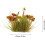 Miniature Grass Tufts Yellow 24 Pieces Model Train Static Grass Clusters 2