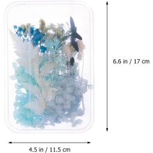 Trockenblumen-Prägematerial, Trockenblumen-DIY-Material, Dekoratives Naturmaterial